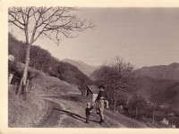 118 strada per roncate